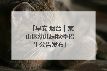 早安 烟台｜莱山区幼儿园秋季招生公告发布