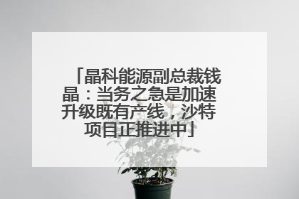 晶科能源副总裁钱晶：当务之急是加速升级既有产线，沙特项目正推进中