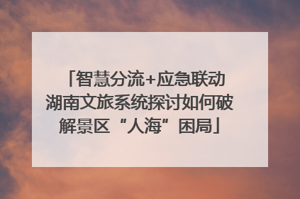 智慧分流+应急联动 湖南文旅系统探讨如何破解景区“人海”困局