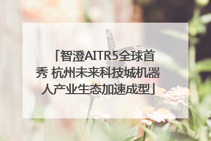 智澄AITR5全球首秀 杭州未来科技城机器人产业生态加速成型