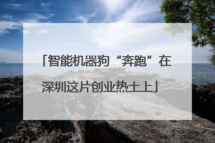 智能机器狗“奔跑”在深圳这片创业热土上