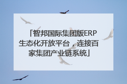 智邦国际集团版ERP生态化开放平台，连接百家集团产业链系统