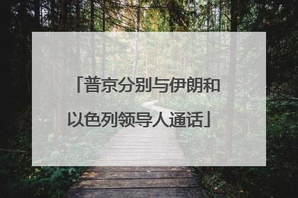 普京分别与伊朗和以色列领导人通话