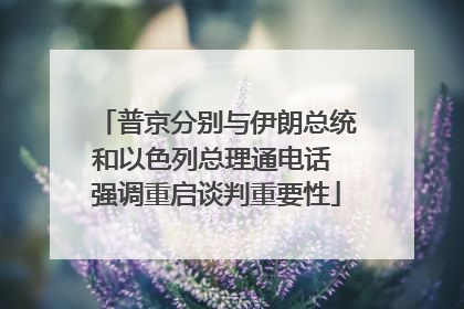 普京分别与伊朗总统和以色列总理通电话 强调重启谈判重要性
