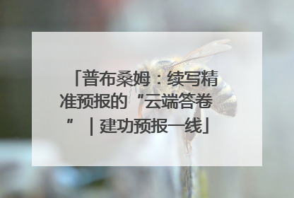 普布桑姆：续写精准预报的“云端答卷”｜建功预报一线