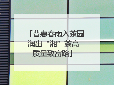 普惠春雨入茶园 润出“湘”茶高质量致富路