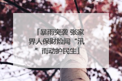 暴雨突袭 张家界人保财险闻“汛”而动护民生