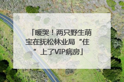 暖哭！两只野生萌宝在抚松林业局“住”上了VIP病房