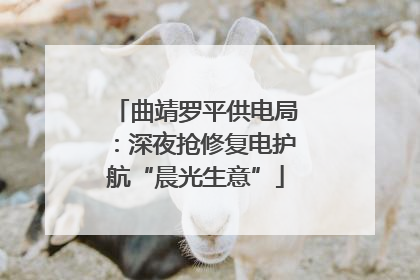 曲靖罗平供电局：深夜抢修复电护航“晨光生意”