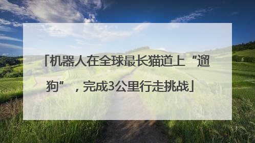机器人在全球最长猫道上“遛狗”，完成3公里行走挑战