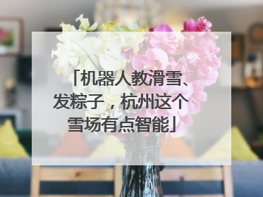 机器人教滑雪、发粽子，杭州这个雪场有点智能