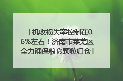 机收损失率控制在0.6%左右！济南市莱芜区全力确保粮食颗粒归仓