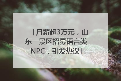 月薪超3万元，山东一景区招募语言类NPC，引发热议