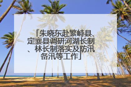 朱晓东赴繁峙县、定襄县调研河湖长制、林长制落实及防汛备汛等工作