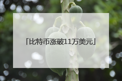 比特币涨破11万美元