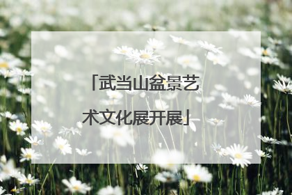 武当山盆景艺术文化展开展