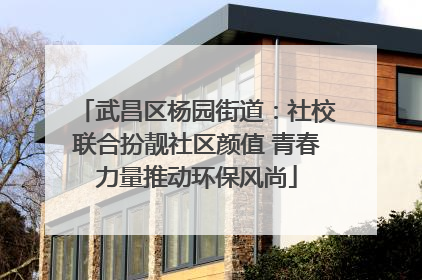武昌区杨园街道：社校联合扮靓社区颜值 青春力量推动环保风尚