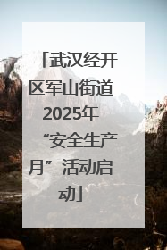 武汉经开区军山街道2025年“安全生产月”活动启动