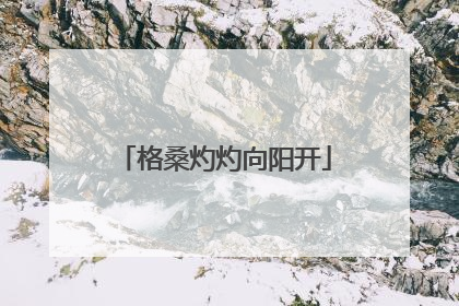 格桑灼灼向阳开