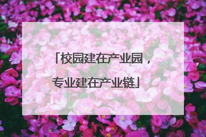 校园建在产业园，专业建在产业链