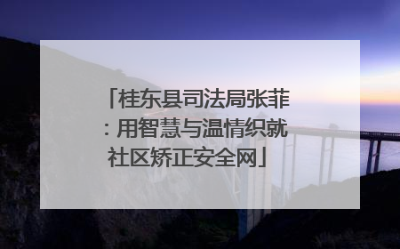 桂东县司法局张菲：用智慧与温情织就社区矫正安全网