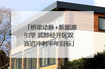 桥梁动脉+新能源引擎 武陟经开区双赛道冲刺半年目标