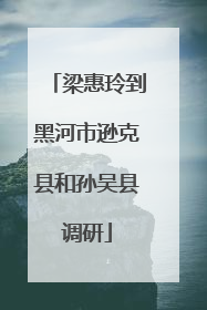 梁惠玲到黑河市逊克县和孙吴县调研