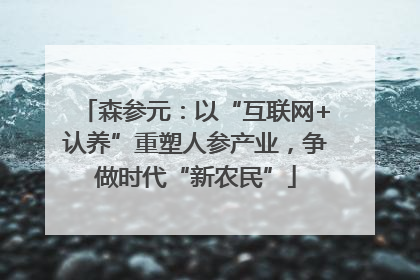 森参元：以“互联网+认养”重塑人参产业，争做时代“新农民”