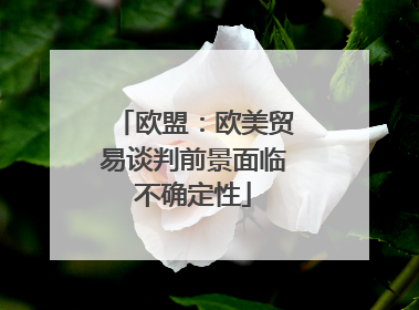 欧盟：欧美贸易谈判前景面临不确定性