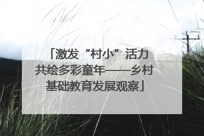 激发“村小”活力 共绘多彩童年——乡村基础教育发展观察