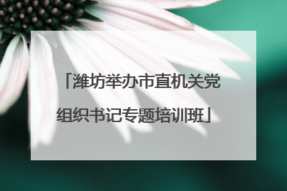 潍坊举办市直机关党组织书记专题培训班