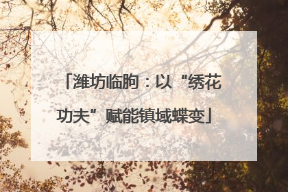 潍坊临朐：以“绣花功夫”赋能镇域蝶变