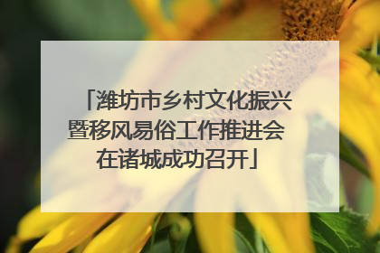 潍坊市乡村文化振兴暨移风易俗工作推进会在诸城成功召开