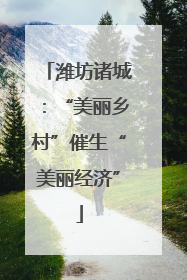 潍坊诸城：“美丽乡村”催生“美丽经济”