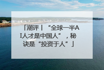 潮评丨“全球一半AI人才是中国人”，秘诀是“投资于人”