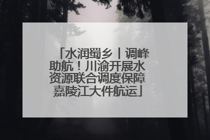水润蜀乡丨调峰助航！川渝开展水资源联合调度保障嘉陵江大件航运