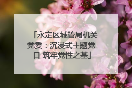永定区城管局机关党委：沉浸式主题党日 筑牢党性之基