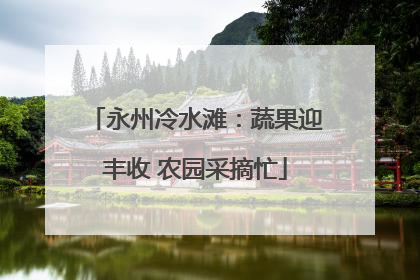 永州冷水滩：蔬果迎丰收 农园采摘忙
