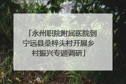 永州职院附属医院到宁远县桑梓头村开展乡村振兴专题调研