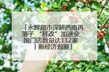 永辉超市深耕西南再落子 “胖改”加速全国门店数量达112家丨新经济观察