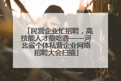 民营企业忙招聘，高技能人才很吃香——河北省个体私营企业网络招聘大会扫描