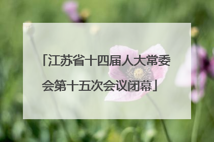 江苏省十四届人大常委会第十五次会议闭幕