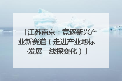 江苏南京：竞逐新兴产业新赛道（走进产业地标·发展一线探变化）