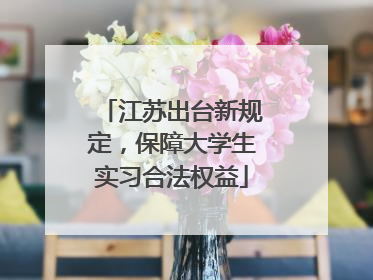 江苏出台新规定，保障大学生实习合法权益
