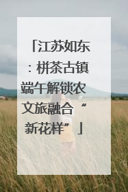 江苏如东：栟茶古镇端午解锁农文旅融合“新花样”