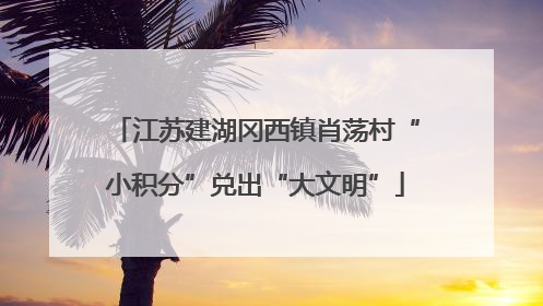 江苏建湖冈西镇肖荡村“小积分”兑出“大文明”