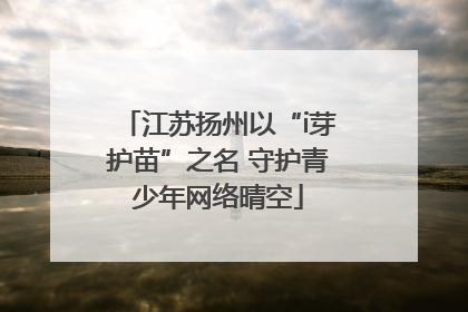 江苏扬州以“i芽护苗”之名 守护青少年网络晴空