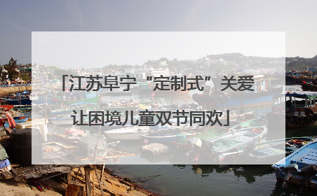 江苏阜宁“定制式”关爱 让困境儿童双节同欢