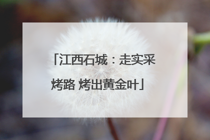 江西石城：走实采烤路 烤出黄金叶