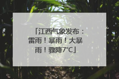 江西气象发布：雷雨！暴雨！大暴雨！骤降7℃